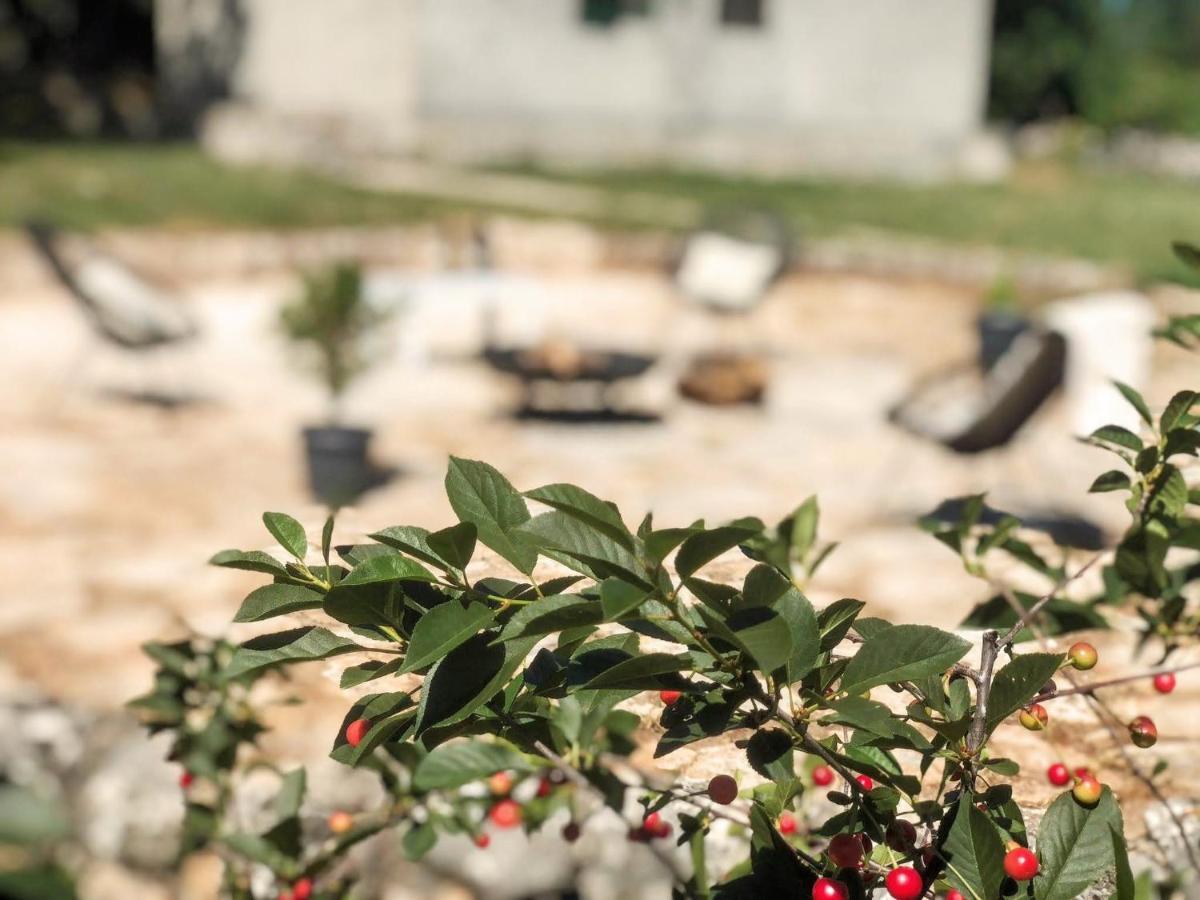 Cavoglave Villa Marie With Pool, Two Bedrooms For 4+2Kids מראה חיצוני תמונה